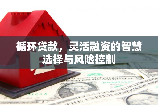 卢龙循环贷款，灵活融资的智慧选择与风险控制