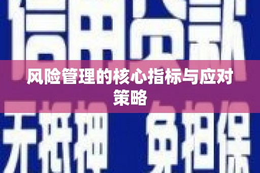 云龙风险管理的核心指标与应对策略