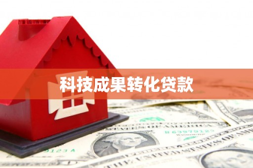 仑背科技成果转化贷款