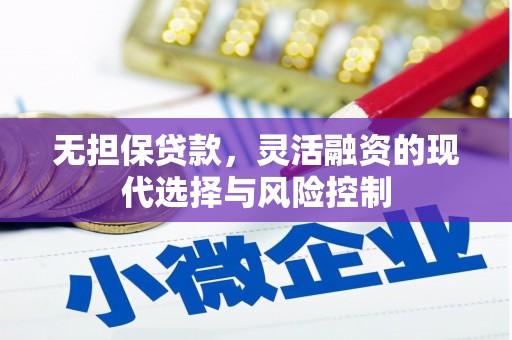 泰顺无担保贷款，灵活融资的现代选择与风险控制