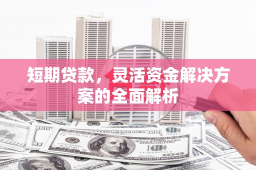 临泉短期贷款，灵活资金解决方案的全面解析