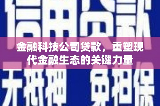 古城金融科技公司贷款，重塑现代金融生态的关键力量