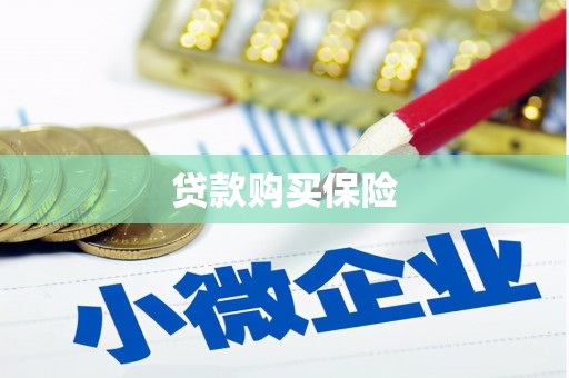 碑林贷款购买保险