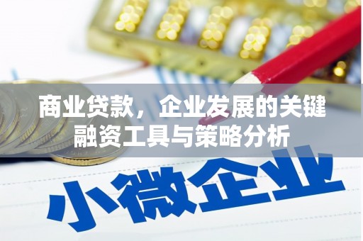 夏河商业贷款，企业发展的关键融资工具与策略分析