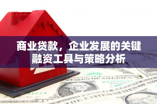 滑县商业贷款，企业发展的关键融资工具与策略分析