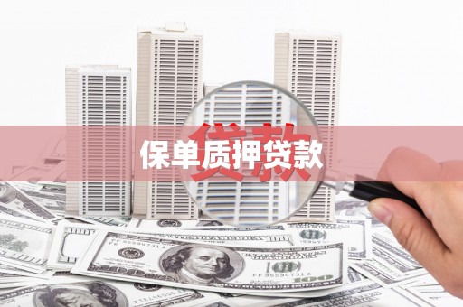 潮州保单质押贷款