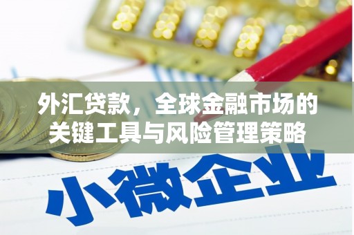 汕尾外汇贷款，全球金融市场的关键工具与风险管理策略