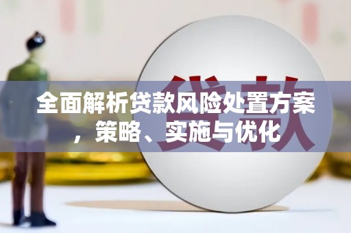 太湖全面解析贷款风险处置方案，策略、实施与优化