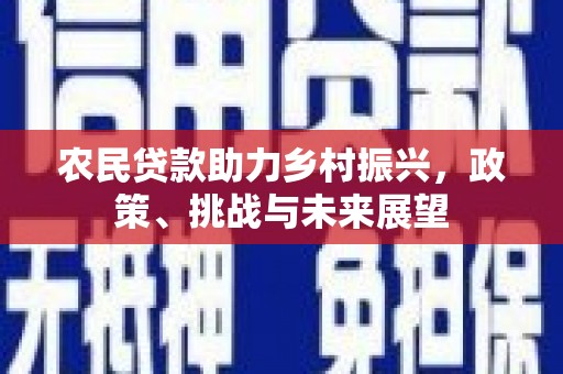 师宗农民贷款助力乡村振兴，政策、挑战与未来展望