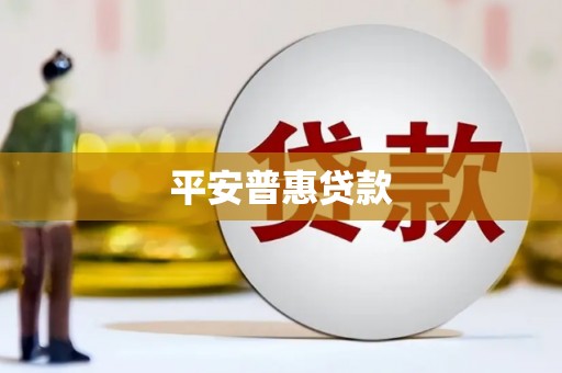 临高平安普惠贷款