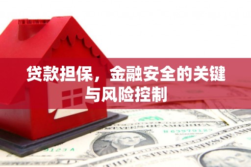 天长贷款担保，金融安全的关键与风险控制