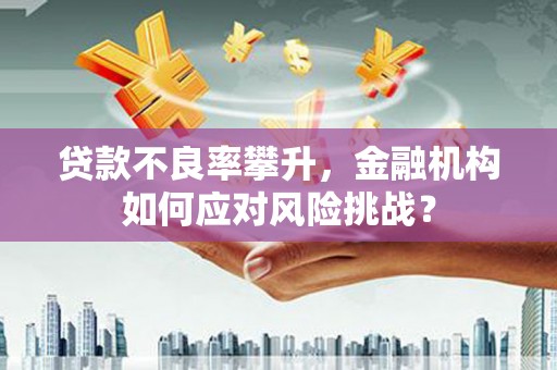 太白贷款不良率攀升，金融机构如何应对风险挑战？