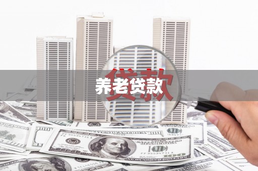隆昌养老贷款