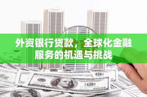 乐亭外资银行贷款，全球化金融服务的机遇与挑战