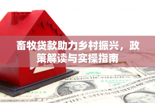 常平畜牧贷款助力乡村振兴，政策解读与实操指南