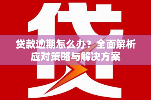 进贤贷款逾期怎么办？全面解析应对策略与解决方案