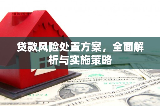 额敏贷款风险处置方案，全面解析与实施策略