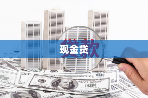 源汇现金贷