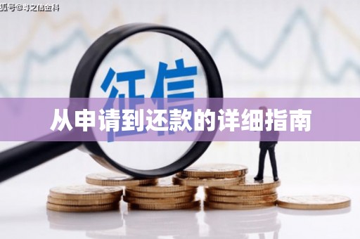 横县从申请到还款的详细指南