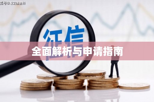 吴忠全面解析与申请指南