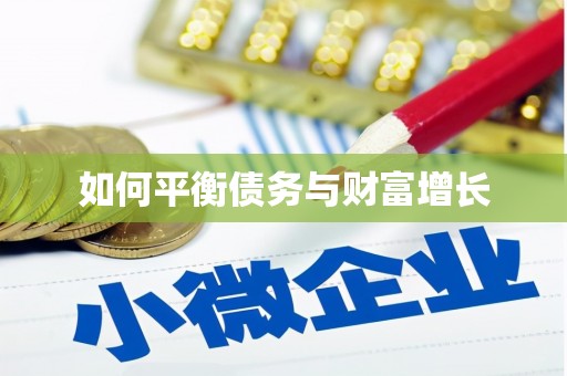 嘉定如何平衡债务与财富增长