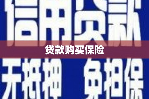 北关贷款购买保险