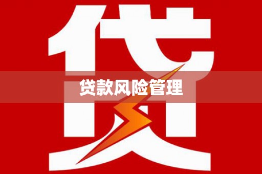 边坝贷款风险管理