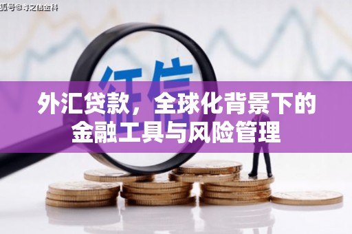 伊吾外汇贷款，全球化背景下的金融工具与风险管理